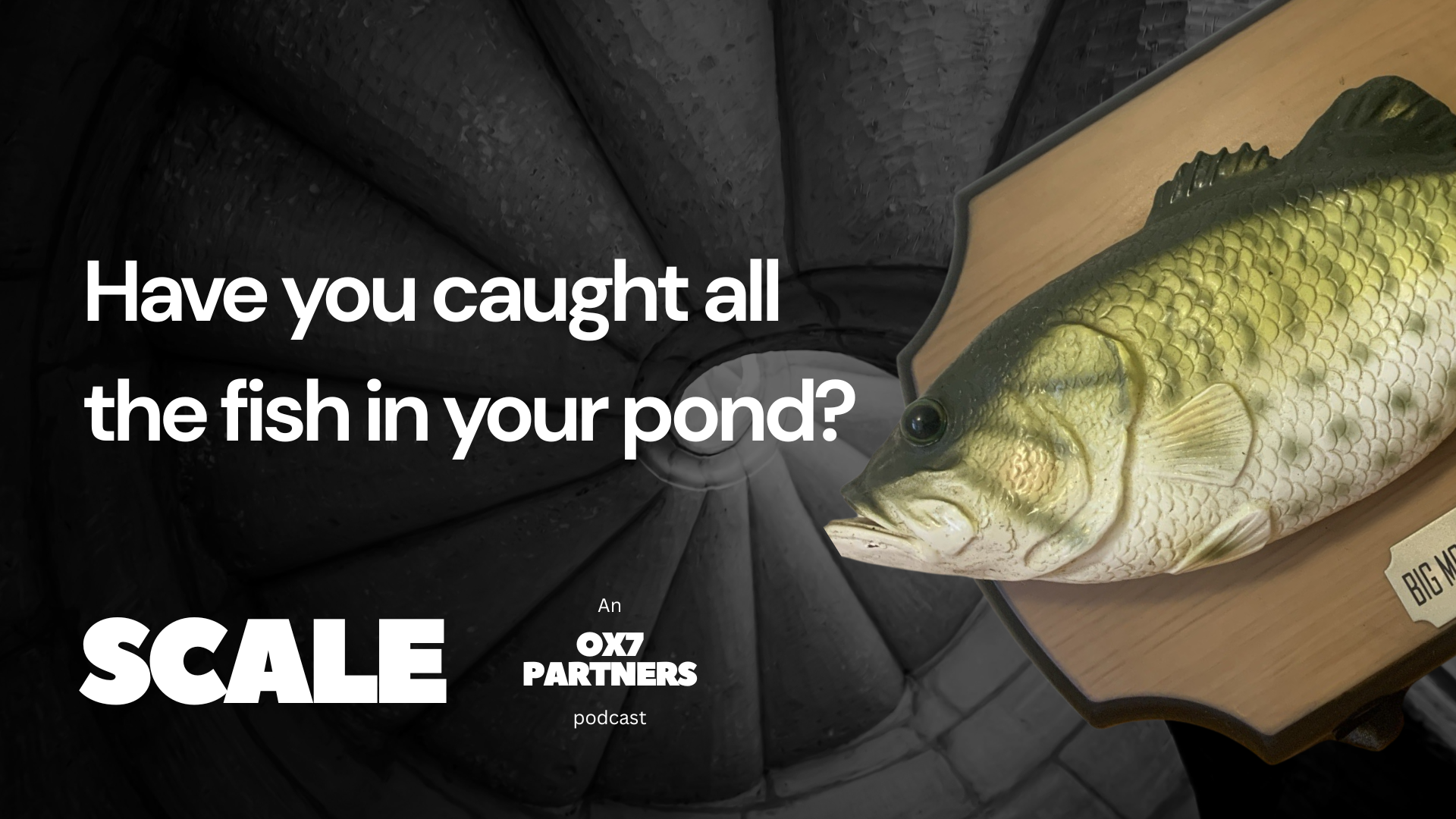 Have you caught all the fish in your pond?